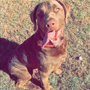 Meet your Posher, Parker